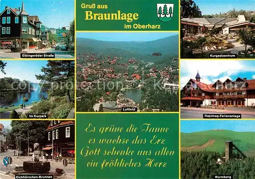 AK / Ansichtskarte Braunlage Elbingroeder Strasse Kurpark Eichhoernchen Brunnen Wurmberg  Kat. Braunlage Harz