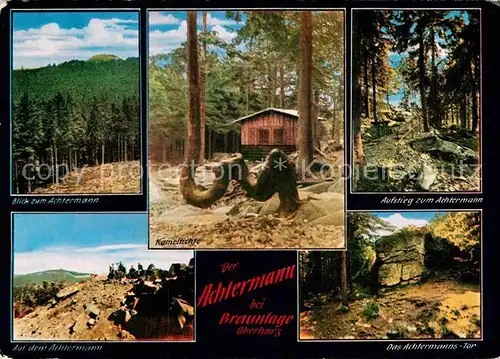 AK / Ansichtskarte Braunlage Der Achtermann Kamelfichte  Kat. Braunlage Harz