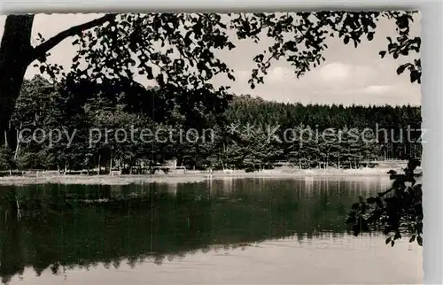 AK / Ansichtskarte Usingen Hattstein Weiher  Kat. Usingen