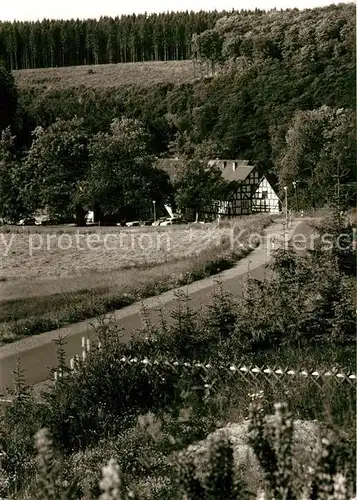 AK / Ansichtskarte Hoheleye Gasthof Graberhof Kat. Winterberg