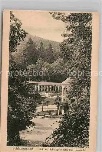 AK / Ansichtskarte Schlangenbad Taunus Schlangenquelle mit Colonnade Kat. Schlangenbad