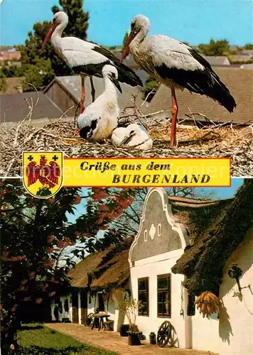 AK / Ansichtskarte Storch Weissstorchfamilie Burgenland Schilfgedecktes Barockgiebelhaus Kat. Tiere