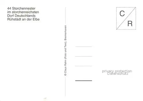 AK / Ansichtskarte Storch Storchennest Ruehstadt Kat. Tiere