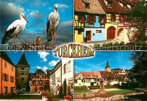 AK / Ansichtskarte Storch Alsace Turckheim Rue de la Grenouillere Place Turenne Porte de France Kat. Tiere