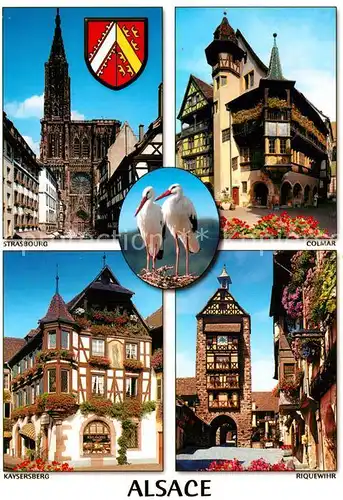 AK / Ansichtskarte Storch Alsace Strasbourg Colmar Kaysersberg Riquewihr Kat. Tiere