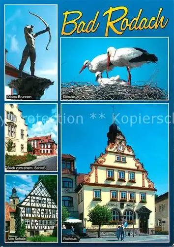 AK / Ansichtskarte Storch Bad Rodach Diana Brunnen Rathaus Alte Schule  Kat. Tiere