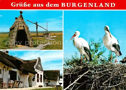 AK / Ansichtskarte Storch Burgenland Pussta Schilfhuette Ziehbrunnen Barockgiebelhaus  Kat. Tiere