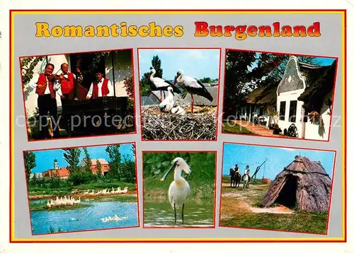 AK / Ansichtskarte Storch Burgenland Zigeunerkapelle Barockgiebelhaus Loeffler  Kat. Tiere