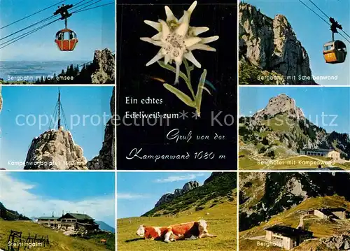 AK / Ansichtskarte Edelweiss Seilbahn Kampenwand Steinlingalm Berghotel  Kat. Pflanzen