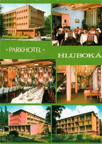 AK / Ansichtskarte Hluboka Vltavou Parkhotel Kat. Frauenberg