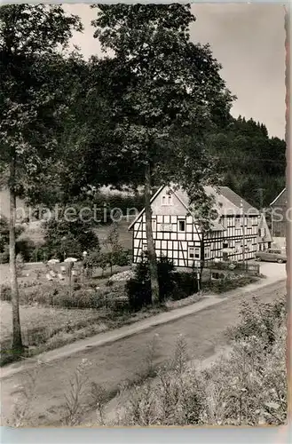 AK / Ansichtskarte Zueschen Sauerland Gasthof Pension Waldheim Kat. Winterberg