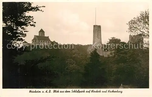 AK / Ansichtskarte Weinheim Bergstrasse Schlosspark Windeck Wachenburg Kat. Weinheim