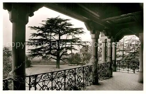 AK / Ansichtskarte Weinheim Bergstrasse aelteste Zeder Deutschlands Schlosspark Kat. Weinheim