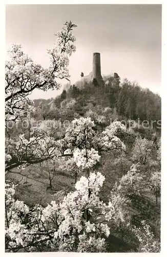 AK / Ansichtskarte Weinheim Bergstrasse Burgruine Windeck Kat. Weinheim