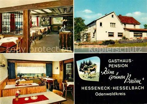 AK / Ansichtskarte Hesselbach Odenwald Gasthaus Pension Zum gruenen Baum Kat. Hesseneck