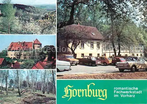 AK / Ansichtskarte Hornburg Wolfenbuettel Ausflugslokal Willeckes Lust Kleiner Fallstein Burg Waldpartie Kat. Hornburg