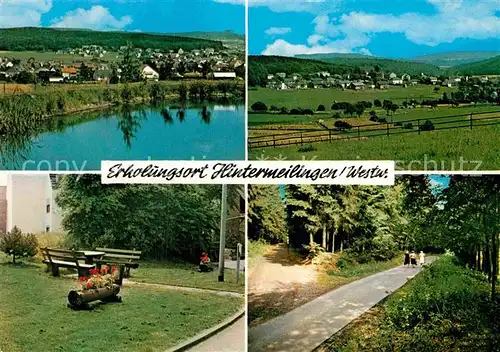 AK / Ansichtskarte Hintermeilingen Panorama Luftkurort Waldweg Kat. Waldbrunn (Westerwald)