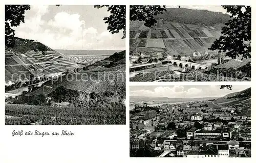 AK / Ansichtskarte Bingen Rhein Panorama Weinberge Rheinbruecke Kat. Bingen am Rhein