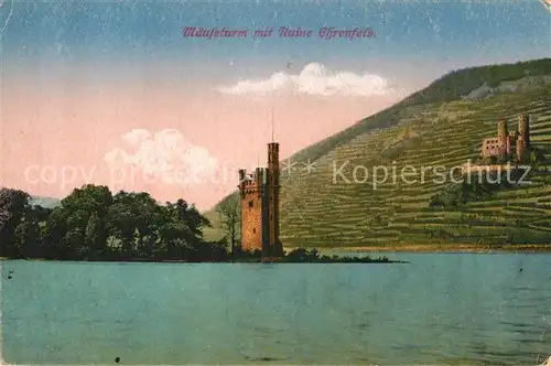 AK / Ansichtskarte Bingen Rhein Maeuseturm Burgruine Ehrenfels Kat. Bingen am Rhein