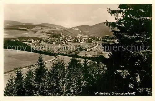 AK / Ansichtskarte Winterberg Hochsauerland Panorama  Kat. Winterberg