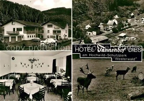 AK / Ansichtskarte Dies Hotel Tannenhof Gaststube Rotwild Kat. Gackenbach