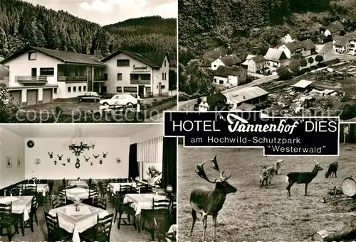 AK / Ansichtskarte Dies Hotel Tannenhof Speisesaal Fliegeraufnahme Rotwild Kat. Gackenbach