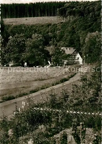 AK / Ansichtskarte Hoheleye Gasthof Pension Graberhof Kat. Winterberg