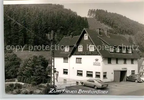 AK / Ansichtskarte Zueschen Sauerland Waldheim Zum treuen Bernhardiner Kat. Winterberg