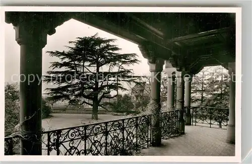 AK / Ansichtskarte Weinheim Bergstrasse aelteste Zeder Schlosspark Kat. Weinheim