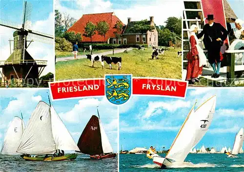 AK / Ansichtskarte Friesland Emden Segelboot Kuehe Windmuehle Kat. Emden