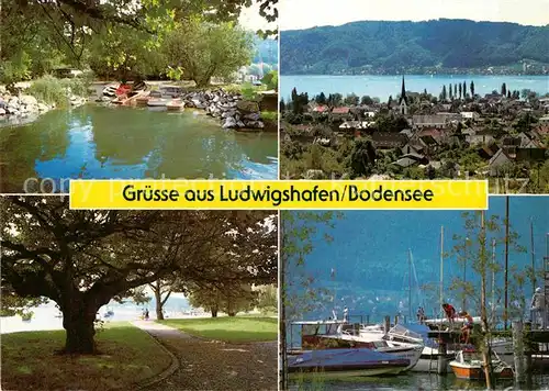 AK / Ansichtskarte Ludwigshafen Bodensee Hafen Park  Kat. Bodman Ludwigshafen