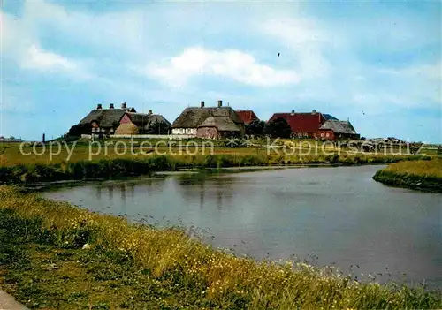 AK / Ansichtskarte Hallig Hooge Schulwarft Kat. Hooge