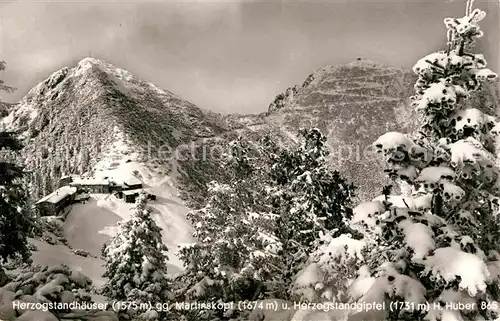 AK / Ansichtskarte Herzogstandhaus mit Martinskopf und Herzogstandgipfel Kat. Kochel a.See