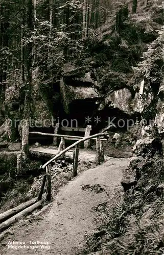 AK / Ansichtskarte Torfhaus Harz Magdeburger Weg Kat. Altenau