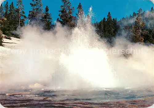 AK / Ansichtskarte Geysire Vulcans Geysers Vulkane Echinus Geyser Yellowstone National Park  Kat. Natur