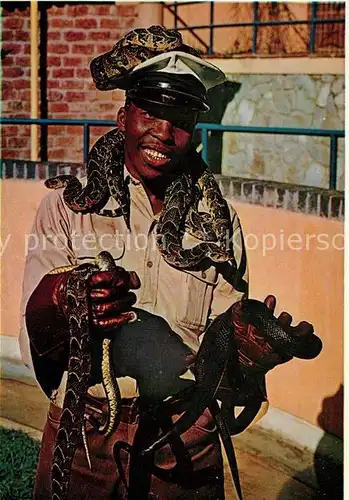 AK / Ansichtskarte Schlangen Tiere Attendant with Snakes Port Elizabeth South Africa  Kat. Tiere