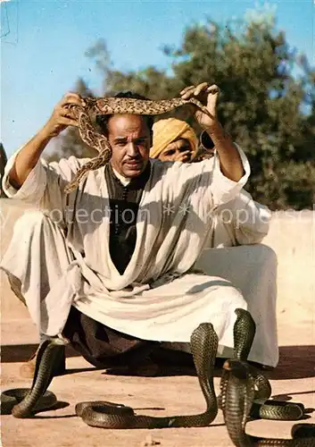 AK / Ansichtskarte Schlangen Tiere Marrakech Charmeur de Serpents  Kat. Tiere