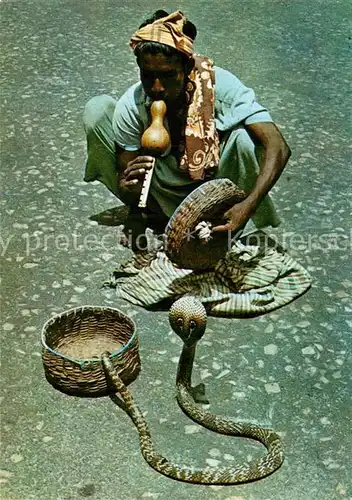 AK / Ansichtskarte Schlangen Tiere Snake Charmer Sri Lanka  Kat. Tiere