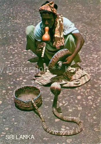 AK / Ansichtskarte Schlangen Tiere Schlangenbeschwoerer Sri Lanka  Kat. Tiere