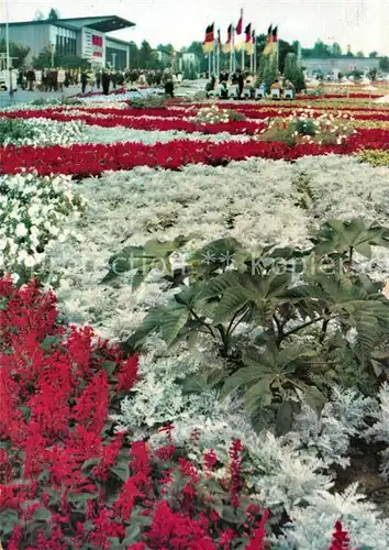 AK / Ansichtskarte Gartenbauaustellung Erfurt Blumenbeet Festplatz  Kat. Expositions