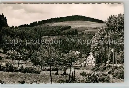 AK / Ansichtskarte Zueschen Sauerland Waldheim Kat. Winterberg