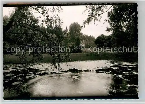 AK / Ansichtskarte Hoppecke Stadtpark Kat. Brilon