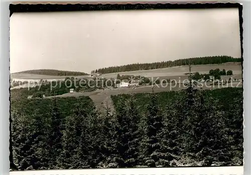 AK / Ansichtskarte Hoheleye Panorama  Kat. Winterberg