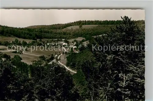 AK / Ansichtskarte Raubach Odenwald Panorama Kat. Rothenberg