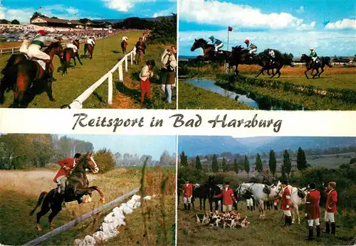 AK / Ansichtskarte Bad Harzburg Reitsport Pferderennen Fuchsjagd Kat. Bad Harzburg