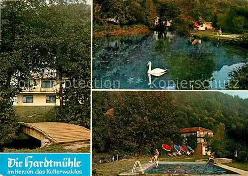 AK / Ansichtskarte Bergfreiheit Hardtmuehle Cafe Gaststaette Swimming Pool Schwanenteich Kat. Bad Wildungen