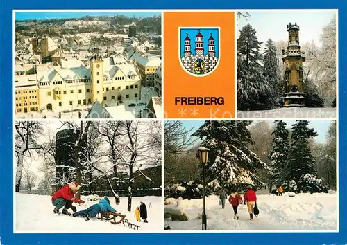 AK / Ansichtskarte Freiburg Elbe Blick vom Petriturm Rathaus Schwedendenkmal Rodelbahn Stadtmauer Scheringerpark Kat. Freiburg (Elbe)