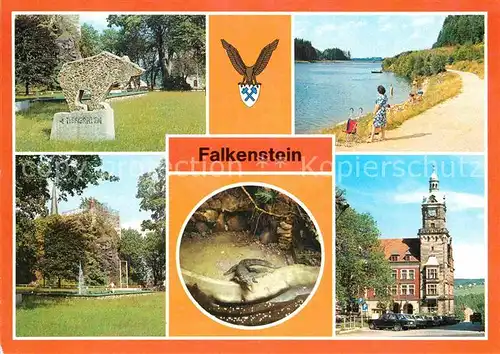 AK / Ansichtskarte Falkenstein Vogtland Schlossfelsne Talsperre Tierpark Krokodil Rathaus Kat. Falkenstein Vogtland