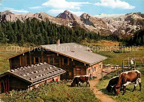 AK / Ansichtskarte Koenigsee Berchtesgaden Berggaststaette Springkasen Gotzenalm Kuehe