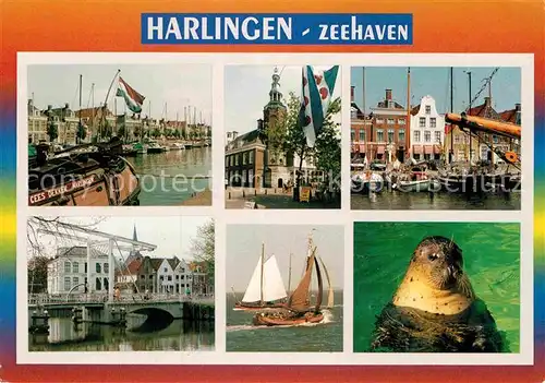 AK / Ansichtskarte Harlingen Friesland Zeehaven Seeloewe Kat. Harlingen